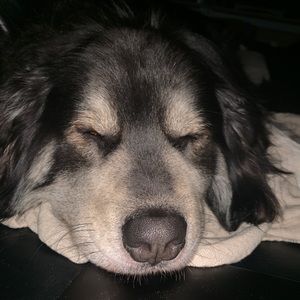 Meet your Posher, Johjohn